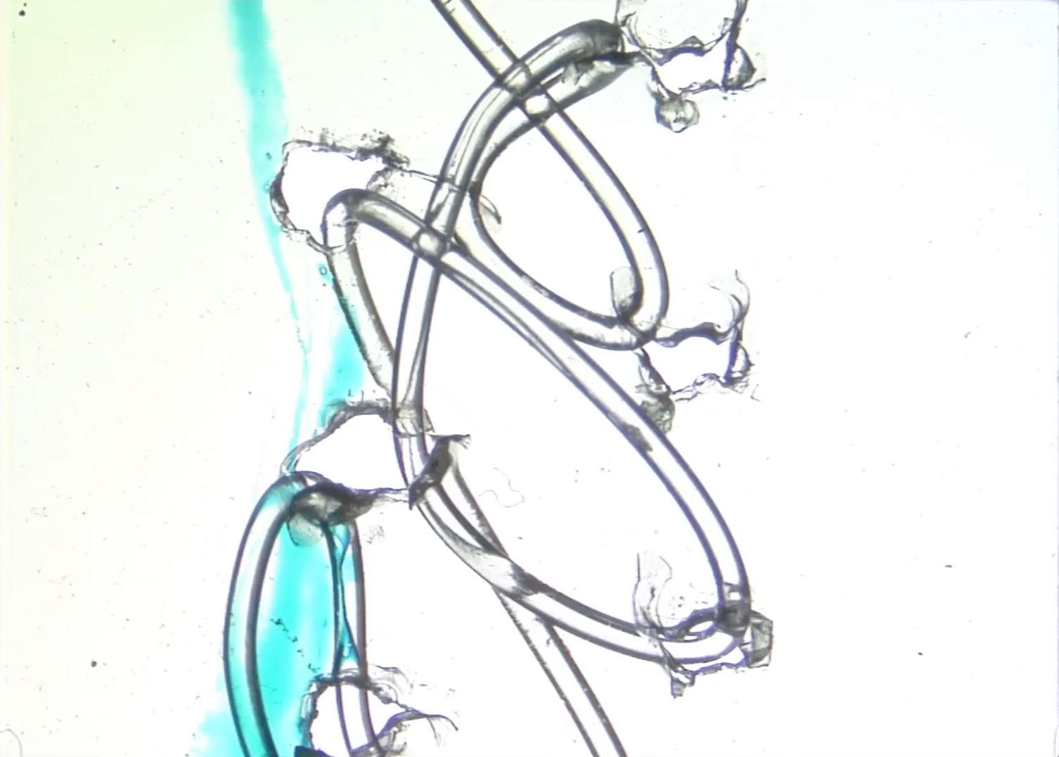 a still from a direct animation using transparent, 16mm film; there are six holes in the frame, in two vertical lines, offset slightly vertically, dividing the frame into three thirds; fishing line is sewn through the holes irregularly; a blotch/line of blue ink is directly to the left of the holes on the left